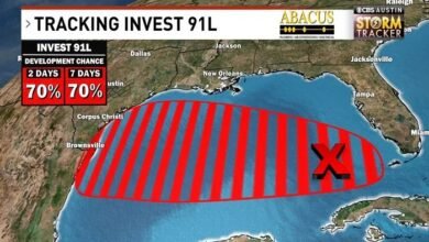 Invest 91L