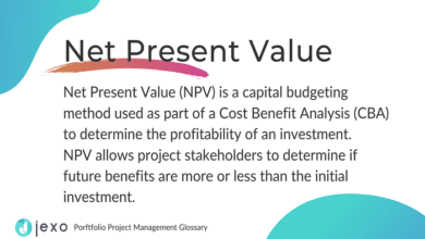 NPV Investments