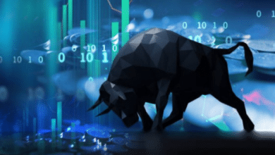 Crypto Bull