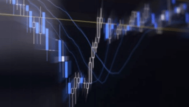 Crypto Panic