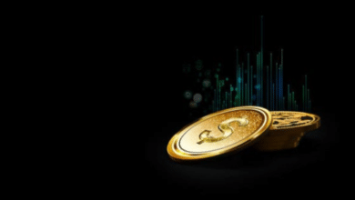 Drake Crypto
