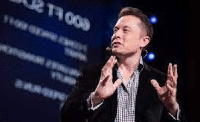 Elon Musk Cryptocurrency Craze